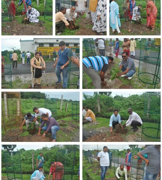 com.pretty.photo.collageeditor_2019814193120366